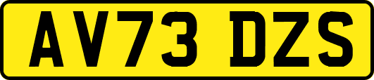 AV73DZS