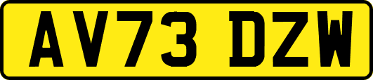 AV73DZW