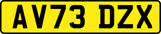 AV73DZX