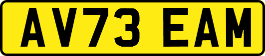 AV73EAM