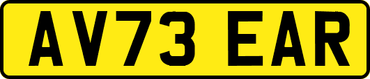 AV73EAR