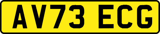 AV73ECG