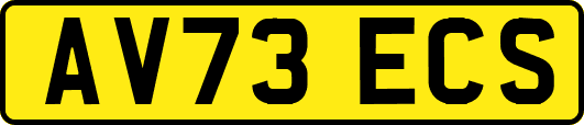 AV73ECS