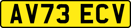 AV73ECV