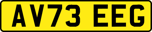AV73EEG