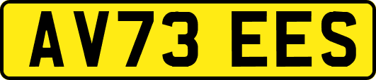AV73EES