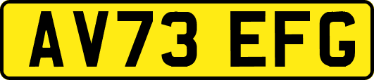 AV73EFG