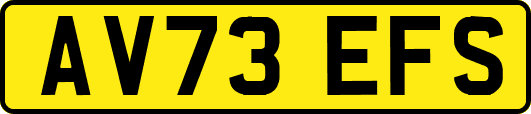 AV73EFS
