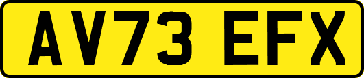 AV73EFX