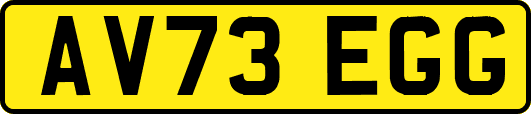 AV73EGG