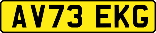 AV73EKG