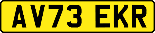 AV73EKR