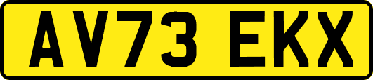 AV73EKX
