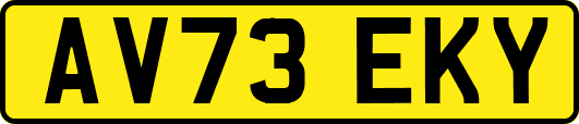 AV73EKY