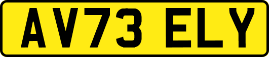 AV73ELY
