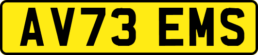 AV73EMS