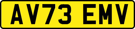 AV73EMV