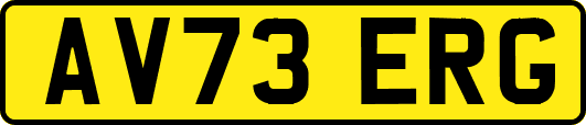 AV73ERG
