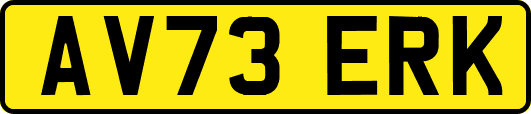 AV73ERK