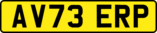 AV73ERP