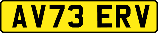 AV73ERV