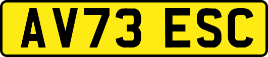 AV73ESC