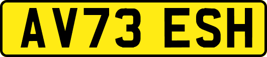 AV73ESH