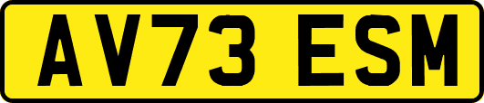 AV73ESM
