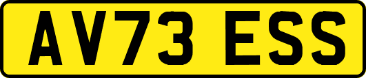 AV73ESS