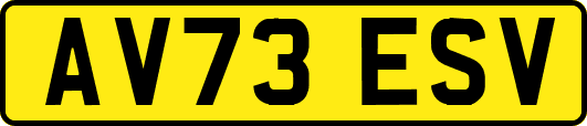 AV73ESV