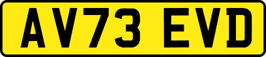 AV73EVD