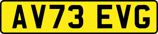 AV73EVG
