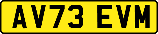 AV73EVM