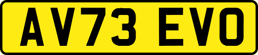 AV73EVO