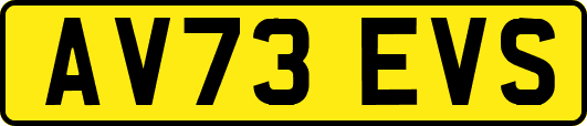AV73EVS