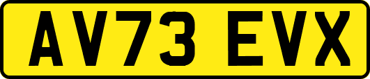 AV73EVX