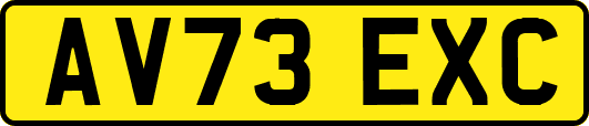 AV73EXC