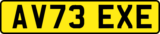 AV73EXE