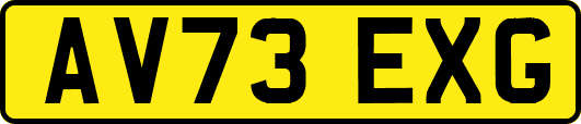 AV73EXG