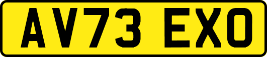 AV73EXO