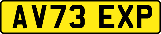 AV73EXP
