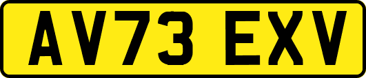 AV73EXV