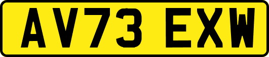 AV73EXW