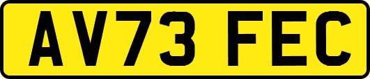AV73FEC
