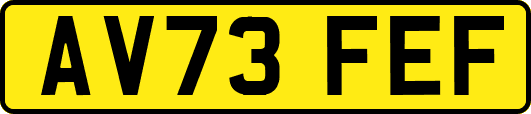 AV73FEF