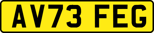 AV73FEG