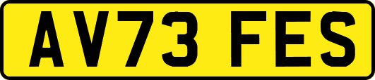 AV73FES