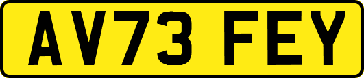 AV73FEY