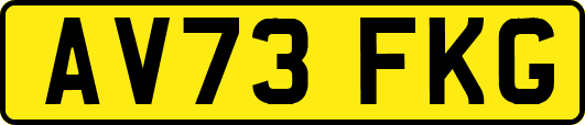 AV73FKG