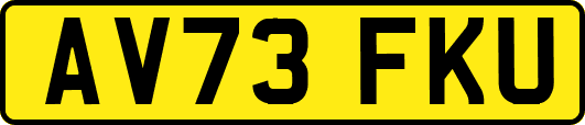 AV73FKU